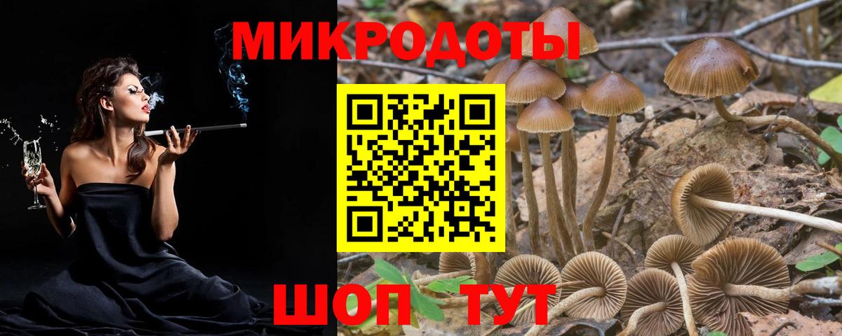 Псилоцибиновые грибы прущие грибы Иваново